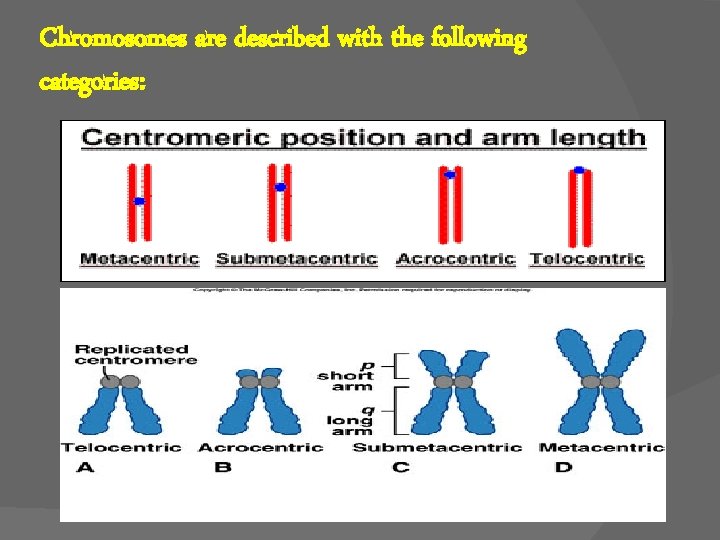 Chromosomes are described with the following categories: 