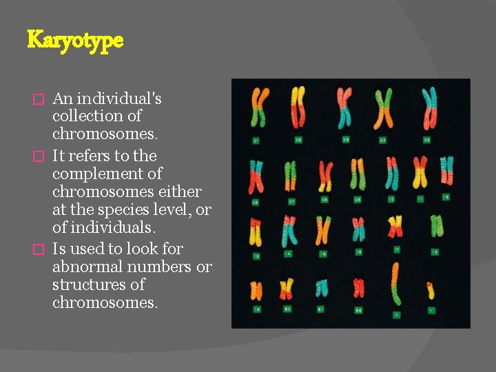 Karyotype An individual's collection of chromosomes. � It refers to the complement of chromosomes