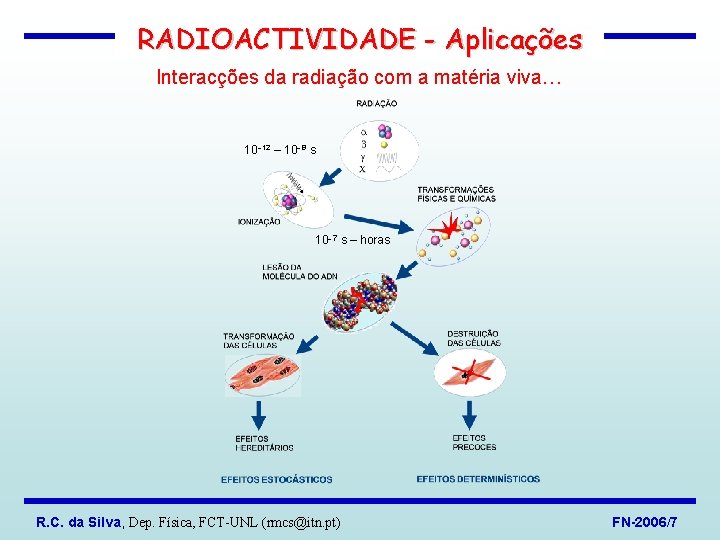 RADIOACTIVIDADE - Aplicações Interacções da radiação com a matéria viva… 10 12 – 10