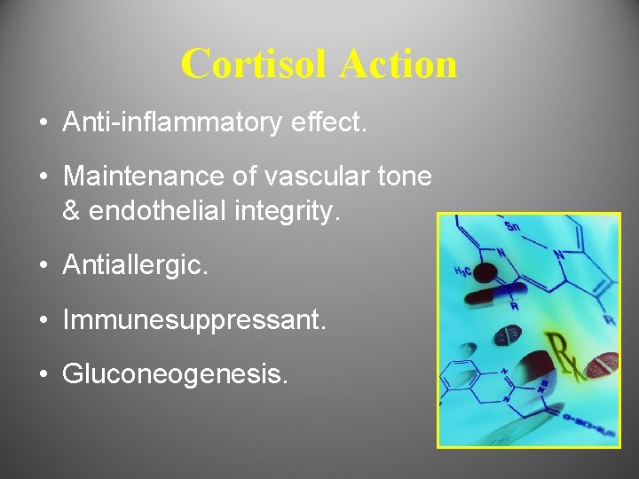 Cortisol Action • Anti-inflammatory effect. • Maintenance of vascular tone & endothelial integrity. •