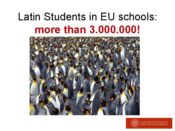 Latin Students in EU schools: more than 3. 000! 