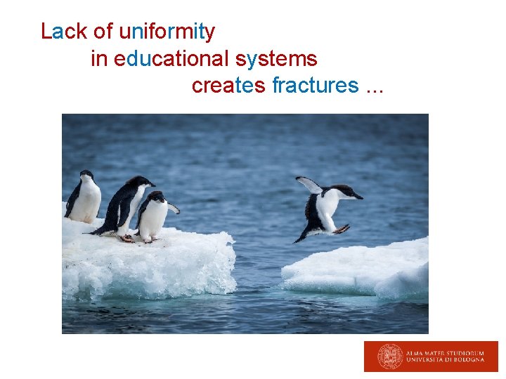 Lack of uniformity in educational systems creates fractures. . . 