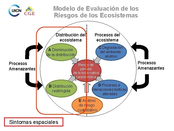 Modelo de Evaluación de los Riesgos de los Ecosistemas Distribución del ecosistema Procesos del
