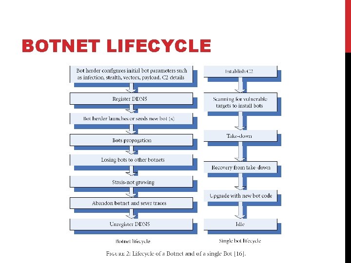 BOTNET LIFECYCLE 