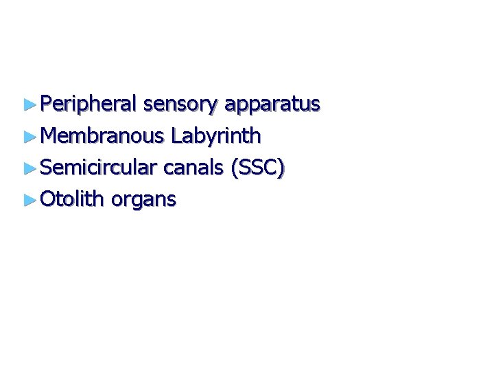 ► Peripheral sensory apparatus ► Membranous Labyrinth ► Semicircular canals (SSC) ► Otolith organs