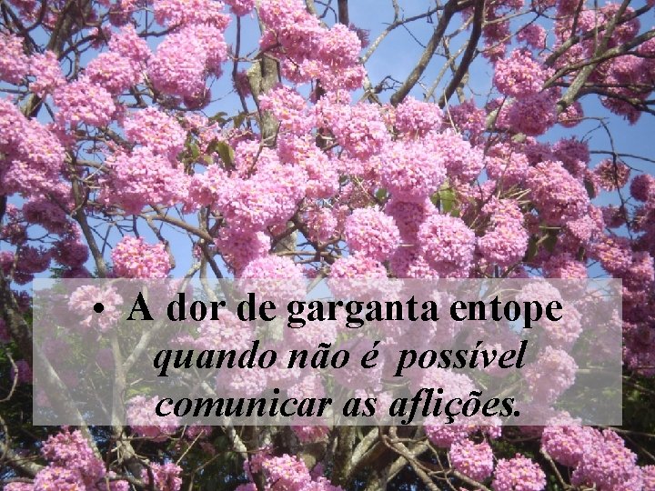  • A dor de garganta entope quando não é possível comunicar as aflições.