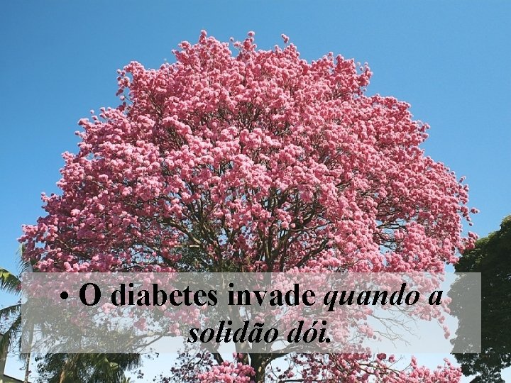  • O diabetes invade quando a solidão dói. 