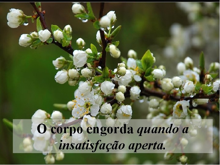 O corpo engorda quando a insatisfação aperta. 