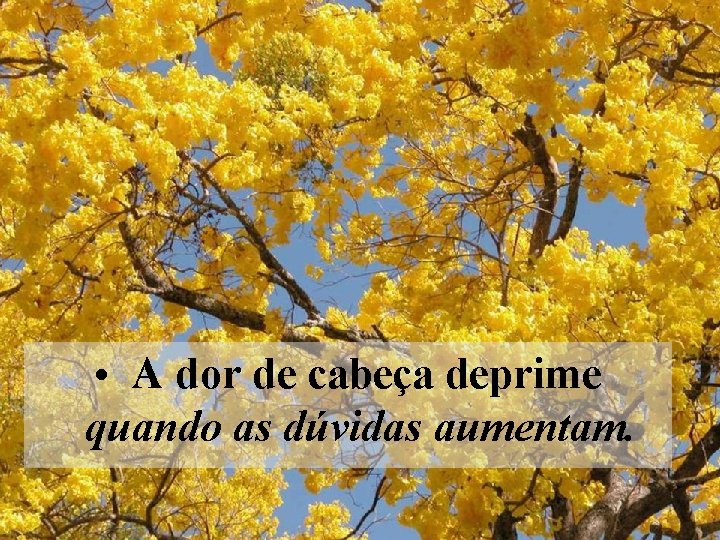  • A dor de cabeça deprime quando as dúvidas aumentam. 