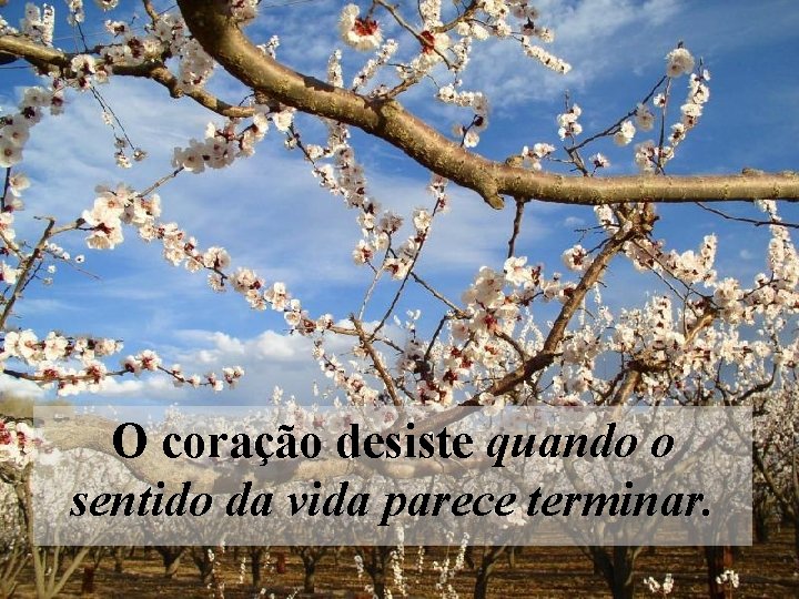 O coração desiste quando o sentido da vida parece terminar. 