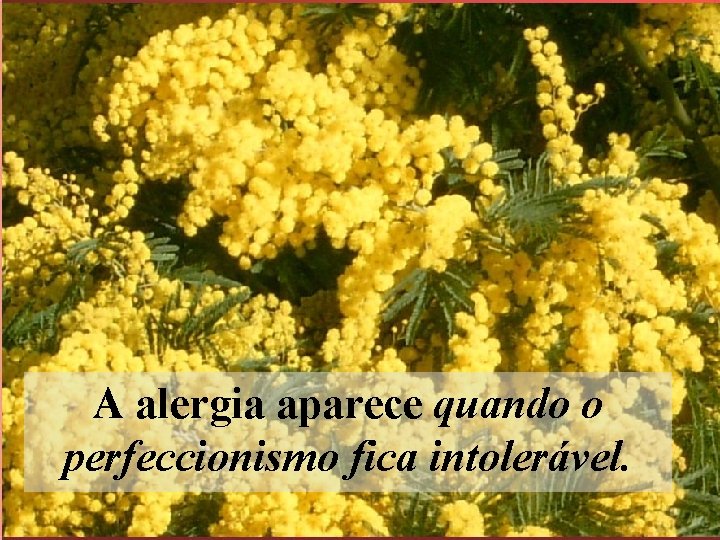 A alergia aparece quando o perfeccionismo fica intolerável. 