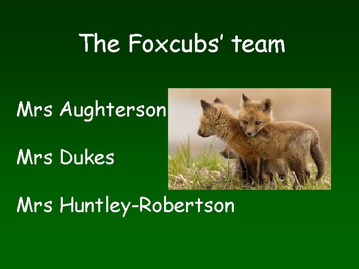 The Foxcubs’ team Mrs Aughterson Mrs Dukes Mrs Huntley-Robertson 