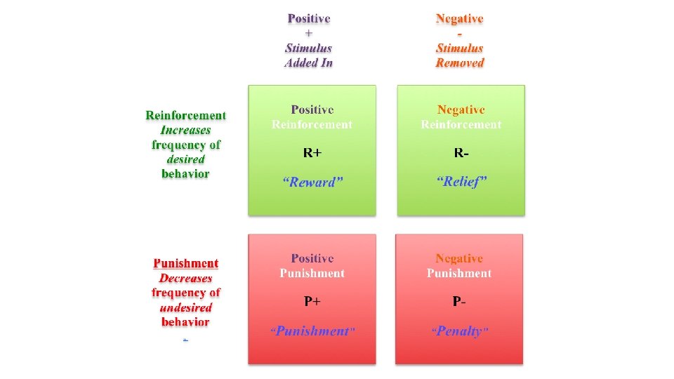 Operant Conditioning HB U 2 002 Reinforcement A