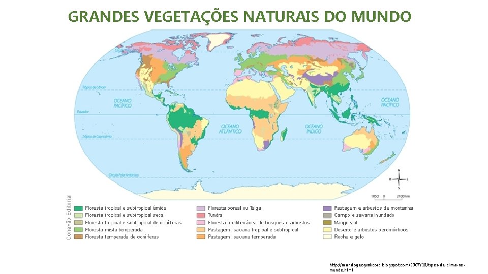 GRANDES VEGETAÇÕES NATURAIS DO MUNDO http: //mundogeograficord. blogspot. com/2007/10/tipos-de-clima-nomundo. html 