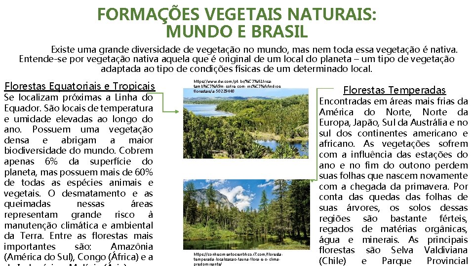 FORMAÇÕES VEGETAIS NATURAIS: MUNDO E BRASIL Existe uma grande diversidade de vegetação no mundo,