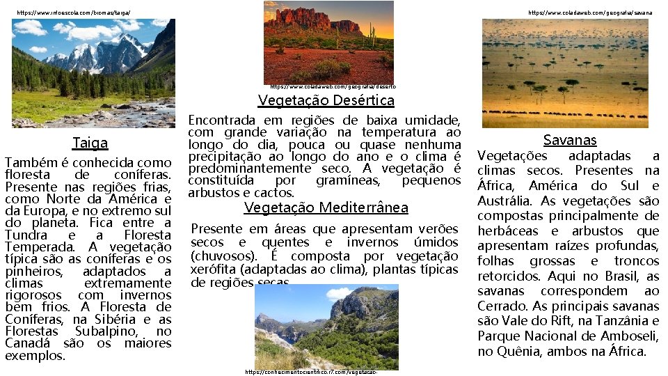 https: //www. coladaweb. com/geografia/savana https: //www. infoescola. com/biomas/taiga/ https: //www. coladaweb. com/geografia/deserto Vegetação Desértica
