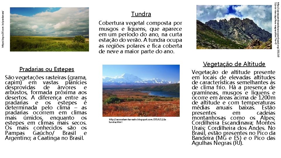 http: //paisagensbrasileiras. openbrasil. org/2015/0 3/pico-das-agulhas-negras. html? m=0 https: //agro 20. com. br/pradarias/ Tundra Cobertura