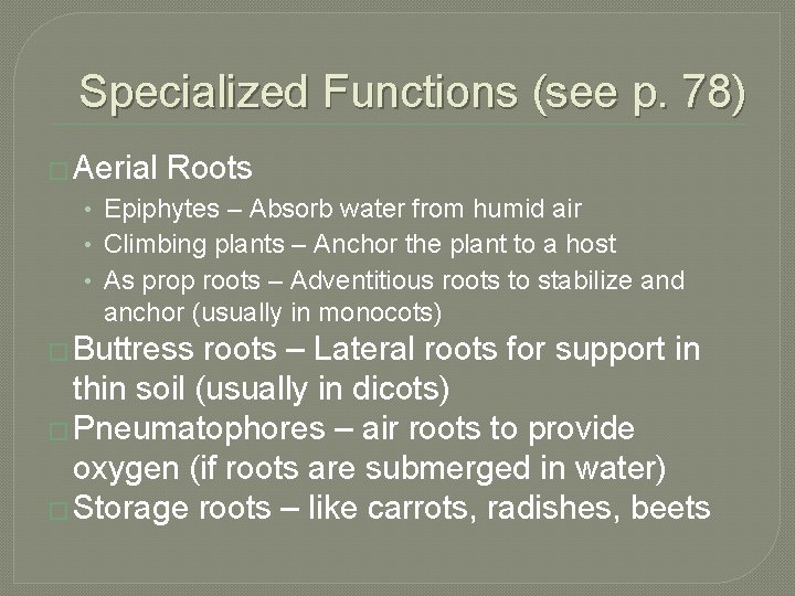 Specialized Functions (see p. 78) � Aerial Roots • Epiphytes – Absorb water from