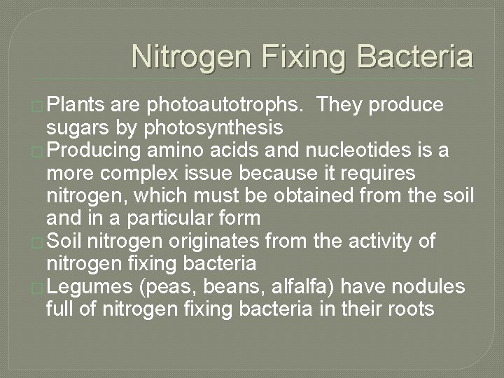 Nitrogen Fixing Bacteria � Plants are photoautotrophs. They produce sugars by photosynthesis � Producing