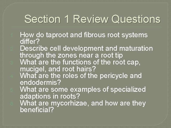 Section 1 Review Questions 1. 2. 3. 4. 5. 6. How do taproot and
