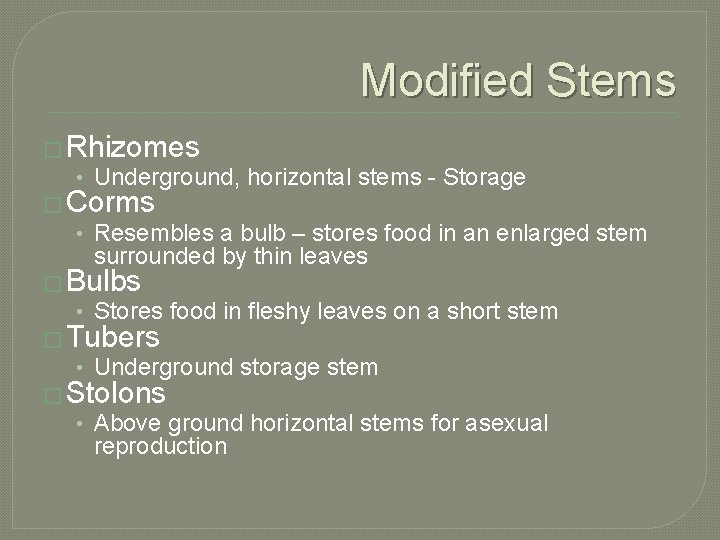 Modified Stems � Rhizomes • Underground, horizontal stems - Storage � Corms • Resembles