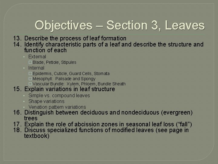 Objectives – Section 3, Leaves 13. Describe the process of leaf formation 14. Identify
