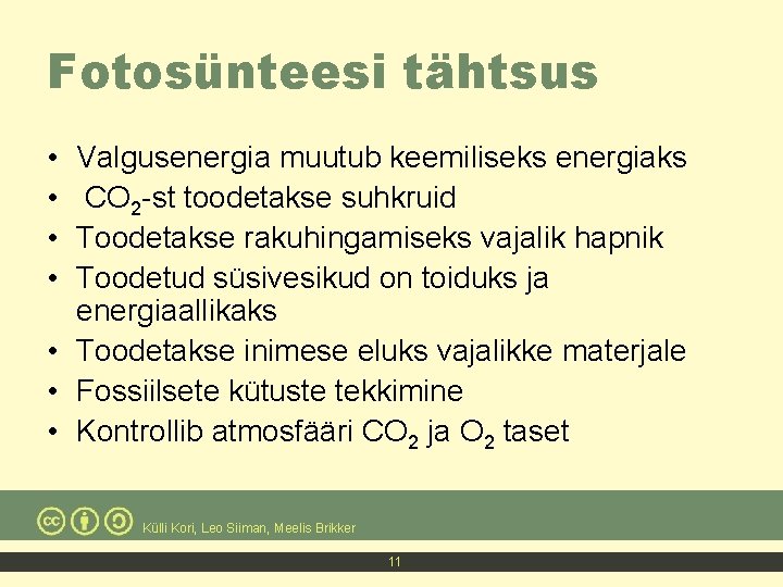 Fotosünteesi tähtsus • • Valgusenergia muutub keemiliseks energiaks CO 2 -st toodetakse suhkruid Toodetakse