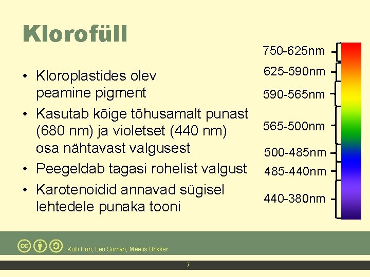 Klorofüll 750 -625 nm 625 -590 nm • Kloroplastides olev peamine pigment 590 -565