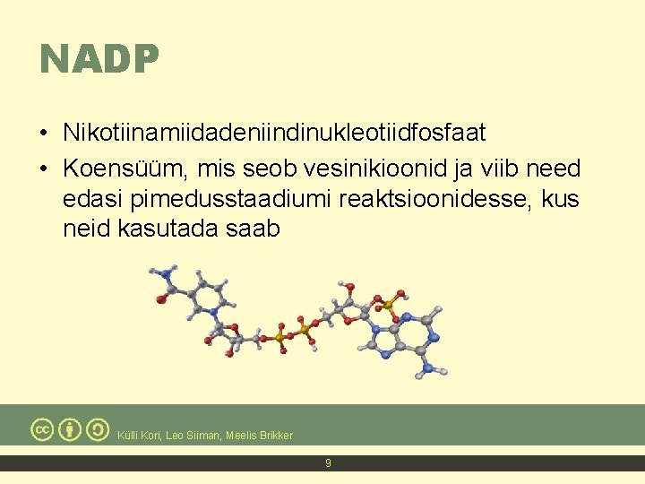 NADP • Nikotiinamiidadeniindinukleotiidfosfaat • Koensüüm, mis seob vesinikioonid ja viib need edasi pimedusstaadiumi reaktsioonidesse,