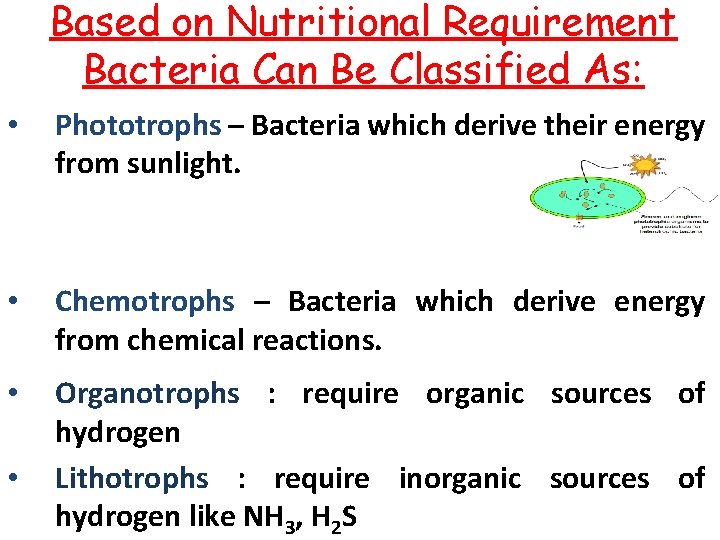 Based on Nutritional Requirement Bacteria Can Be Classified As: • Phototrophs – Bacteria which