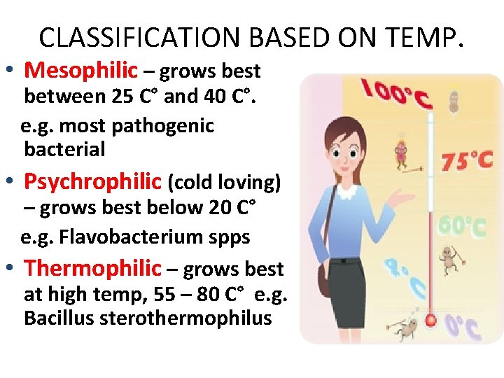 CLASSIFICATION BASED ON TEMP. • Mesophilic – grows best between 25 C° and 40