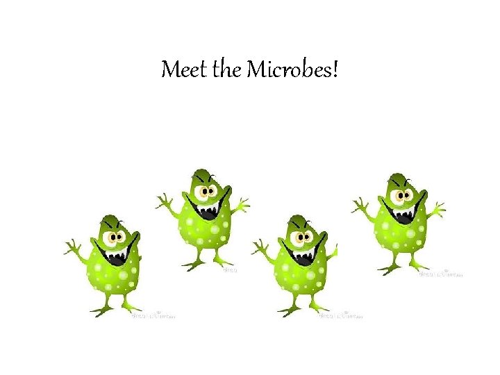 Meet the Microbes! 