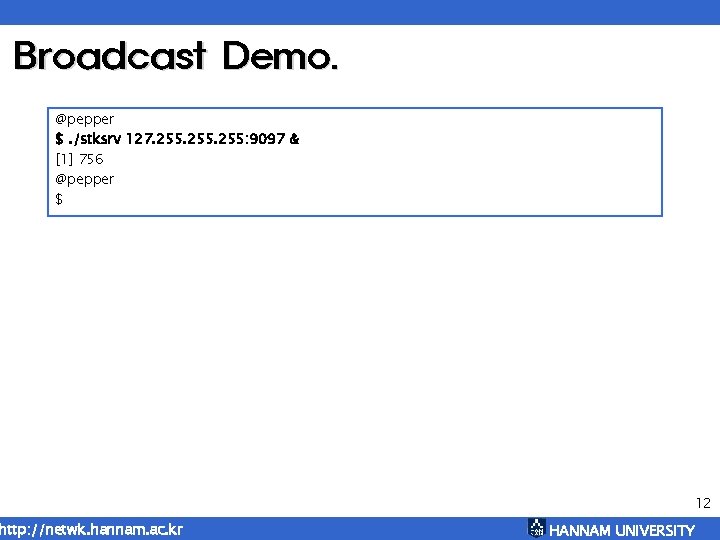 Broadcast Demo. @pepper $. /stksrv 127. 255: 9097 & [1] 756 @pepper $ http:
