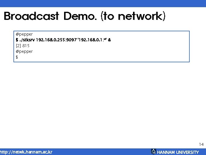 Broadcast Demo. (to network) @pepper $. /stksrv 192. 168. 0. 255: 9097 '192. 168.