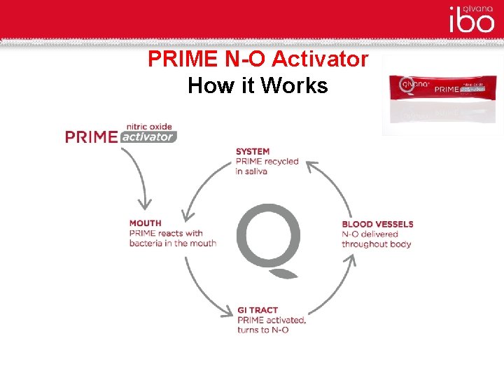 PRIME N-O Activator How it Works 