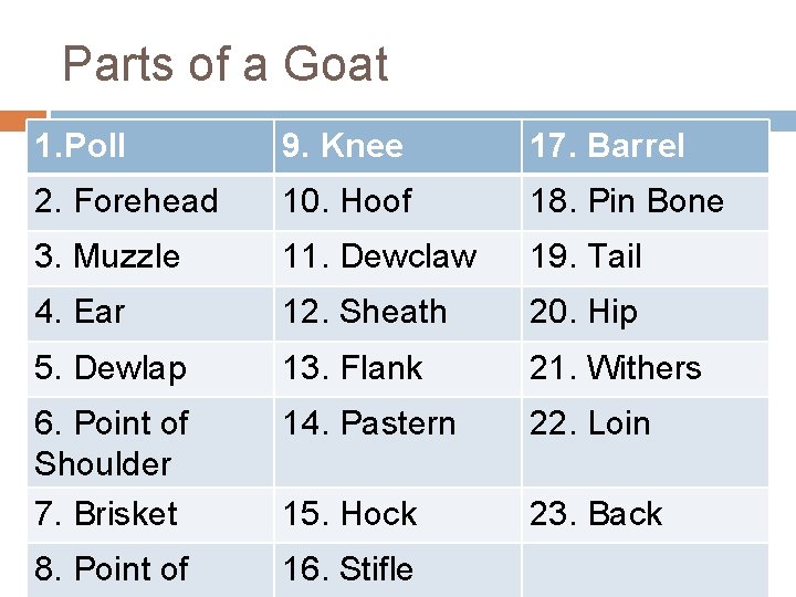 Parts of a Goat 1. Poll 9. Knee 17. Barrel 2. Forehead 10. Hoof