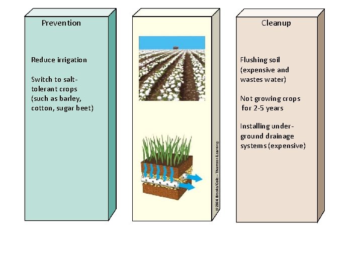 Prevention Reduce irrigation Switch to salttolerant crops (such as barley, cotton, sugar beet) Cleanup