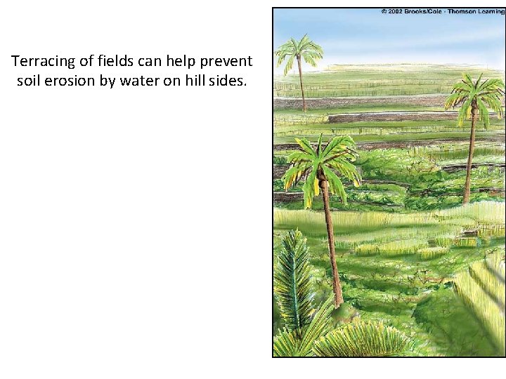 Terracing of fields can help prevent soil erosion by water on hill sides. 