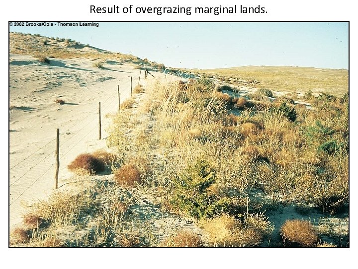 Result of overgrazing marginal lands. 