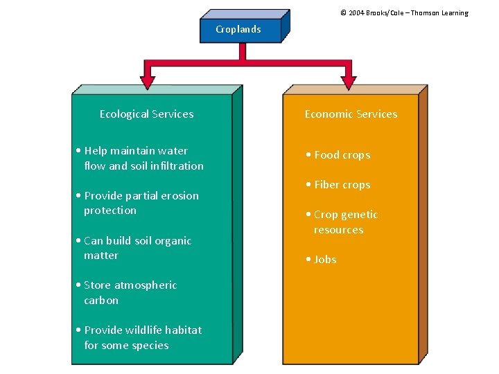 © 2004 Brooks/Cole – Thomson Learning Croplands Ecological Services • Help maintain water flow