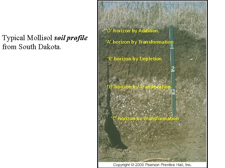 Typical Mollisol soil profile from South Dakota. ‘O’ horizon by Addition. ‘A’ horizon by