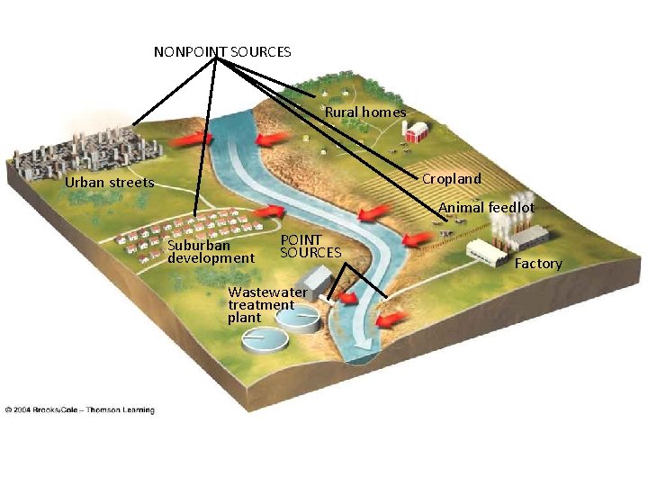 NONPOINT SOURCES Rural homes Cropland Urban streets Animal feedlot Suburban development POINT SOURCES Wastewater
