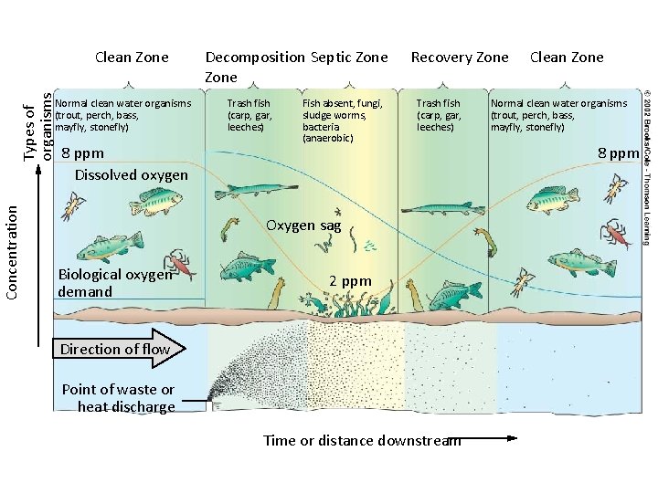 Types of organisms Clean Zone Concentration Normal clean water organisms (trout, perch, bass, mayfly,