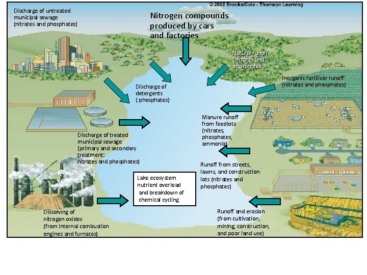 Discharge of untreated municipal sewage (nitrates and phosphates) Nitrogen compounds produced by cars and