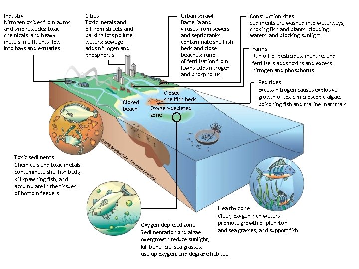 Industry Nitrogen oxides from autos and smokestacks; toxic chemicals, and heavy metals in effluents