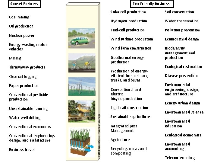 Sunset Business Eco-Friendly Business Solar cell production Soil conservation Hydrogen production Water conservation Fuel-cell