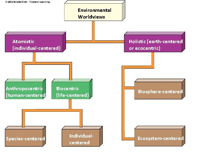 Environmental Worldviews Atomistic (individual-centered) Anthropocentric (human-centered) Species-centered Holistic (earth-centered or ecocentric) Biocentric (life-centered) Individualcentered