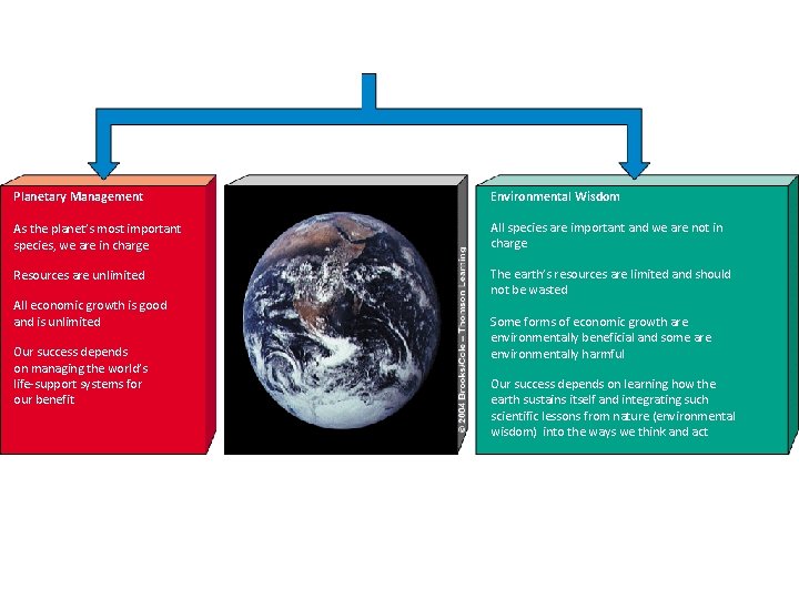 Planetary Management Environmental Wisdom As the planet’s most important species, we are in charge