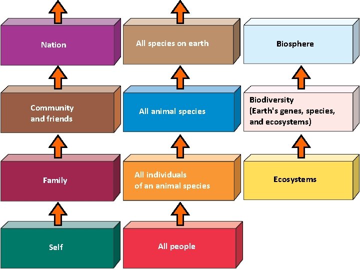 Nation Community and friends Family Self All species on earth All animal species All