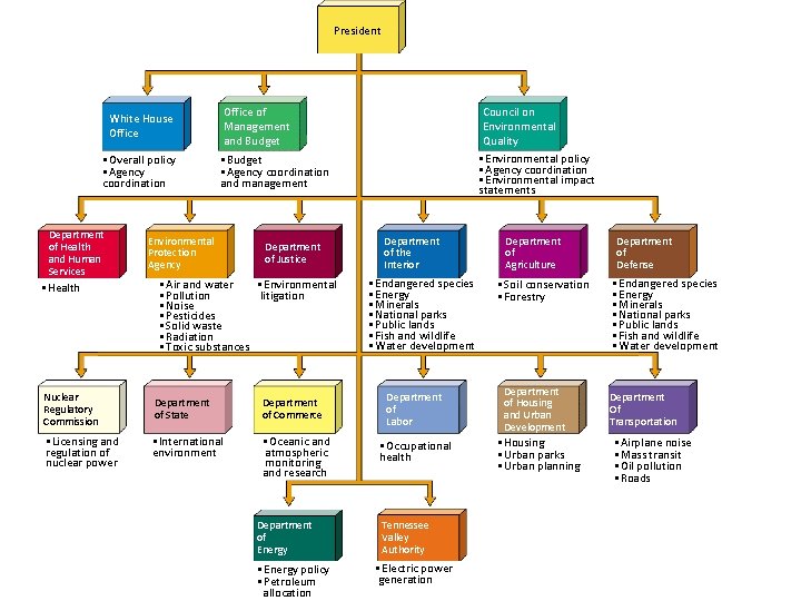 President White House Office • Overall policy • Agency coordination Department of Health and